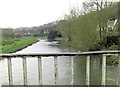 River Avon from Woodford Bridge