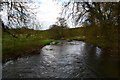 River Frome, at Whitfield