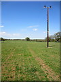 Power poles by East Deane Way