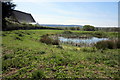 Pond behind Neroche Hall