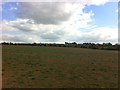 Farmland near Boughton