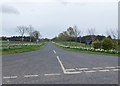 Daffodil-lined route to Castle Heaton and Heaton Mill