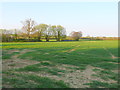 Fields near Stoke sub Hamdon