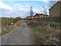 Behind the housing estate at Friar Park