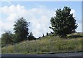 Site of former footpath to Fox Hill Avenue, off Fox Hill Crescent, Fox Hill, Sheffield