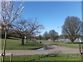 Avenue of trees, Bellahouston Park