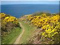 Cliff top path at Polberrow