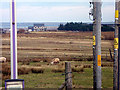 A new house and croft near Newmarket, north of Stornoway