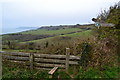 SY3993 : Footpath and bridleway junction,near Upcot by Peter Barr