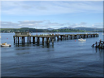 NS2477 : Former Admiralty jetty at Cardwell Bay by Thomas Nugent