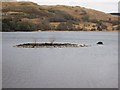 NM8803 : Crannog at the southern end of Loch Awe by Patrick Mackie