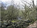 Former Mill dam above Burley Woodhead