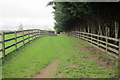 Footpath by the stud farm