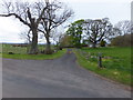  : Road toward Castle (remains of) by Barbara Carr