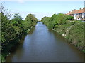 The River Brue, Highbridge