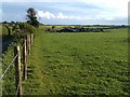 View towards Hunton Down Farm