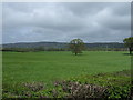 Farmland, Havyatt Farm