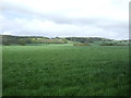 ST4862 : Farmland north of the A38 by JThomas