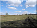 Farmland off Towers Road, Poynton