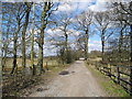 Old railway trackbed