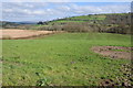 Farmland near Cwmdu