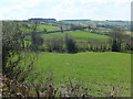 Grassland down the valley