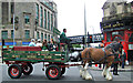 City of Glasgow Heavy Horse Team