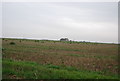 Farmland, Greenlands Farm