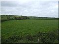 Farmland off Bridgwater Road