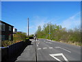 Blackberry Lane, Brinnington