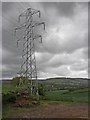 Electricity pylon, near Sampford Brett