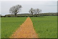 Footpath near Ingoldsby