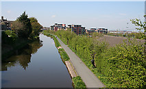 NT2371 : Union Canal at Meggetland by Anne Burgess