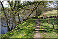 Path by the River Nidd