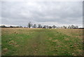 Footpath to Hildenborough