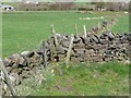 Blockage on Ripponden Footpath 20