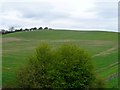 Holly Bush Hill seen from the road bridge over the A505