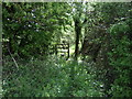 Footpath towards Northwick