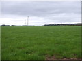 Farmland near Elberton