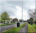 Malpas Road telecoms cabinet and pole near Whittle Drive, Newport