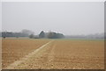 North Downs Way across a field