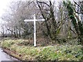 SX6495 : Furzedown Cross by Alex McGregor