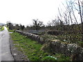 Carrive Road at its junction with Cully Road south east of  Silverbridge