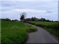 Farmland and power cables