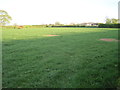 Field on New Lane, near Hessay