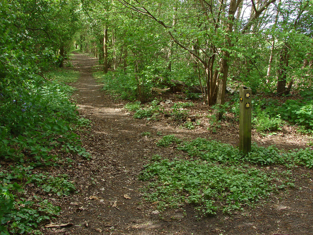 Footpaths near Send Hill © Alan Hunt :: Geograph Britain and Ireland