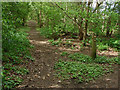 Footpaths near Send Hill