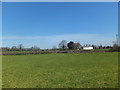 Footpath across a grass field