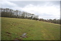 TQ6717 : Footpath across a field by N Chadwick
