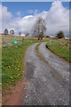 Road to Bryn y Fedwen Farm